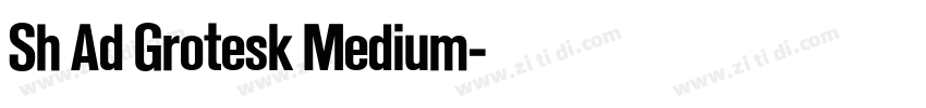 Sh Ad Grotesk Medium字体转换